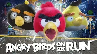 Angry Birds on The Run - New Series Trailer