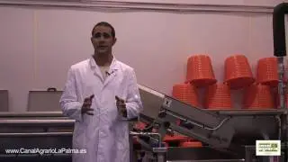 Lechuga y Zanahoria IV Gama