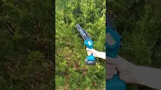 SeeSii 8 inch Cordless Mini Chainsaw With Oiler.