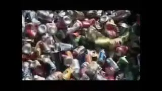 Bisphenol A, Effects on Humans