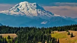 Elk Country Chronicles - Rock Creek, WA