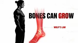 Why Some Men Grow Taller After 18 (Science Explained)