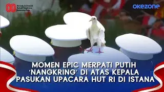 Momen Epic Merpati Putih 'Nangkring' di Atas Kepala Pasukan Upacara HUT RI di Istana