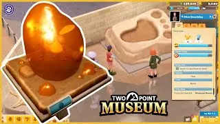 ✨ Starting a Museum! | Two Point Museum Relaxing Gameplay (Ep. 1)
