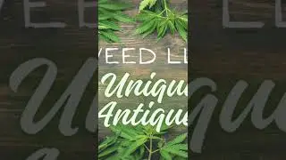 Still looking for a new home!! WEEDLLC420.COM