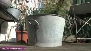 Une bassine en zinc transformée en jardin aquatique.mp4