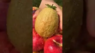 Chinese juicy fruits #fruit #music #love #shorts #viral #trending #reels #trendingshorts
