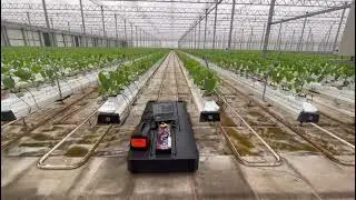 GreenHouse Robot Crop Row changing Experiment 4x speed