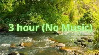 Soft River Stream - 3 Hours Continuous Nature Sounds for Mindful Living