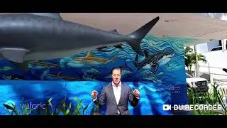 Augmented Reality mural at iPrep Academy Miami .