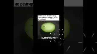 #funny #video #memes #lol