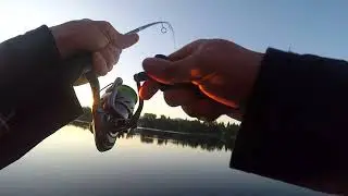 First Large mouth off the top | Froggy Style | Deer Lake BC | On the Road