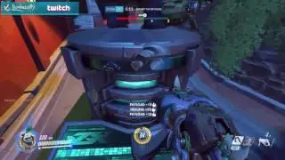 Overwatch Seagull as RoadHog Hey everybody 23 June 2016 #02