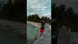 Overreaction or valid?😂 #fishing #barracuda #bahamas #fish #fishingrod #abaco #msfishing