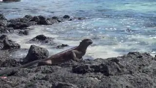 Galapagos Islands, Ecuador Trip 2017 - GAdventures