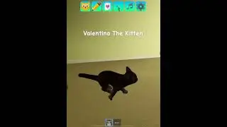 Roblox Kitten Game &mdash; Valentina The Kitten gets chased by a Shadow Glitch Cat (Party Music Edition)