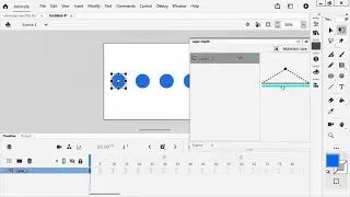 Use Camera Tool in Adobe Animate