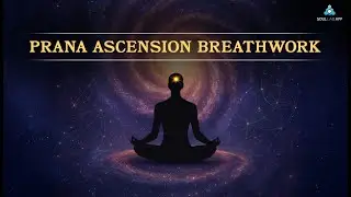 Prana Ascension Breathwork | Guided Meditation by Shreans Daga