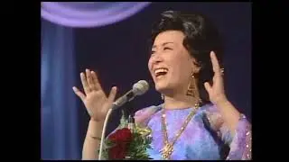 美空ひばり　ひとすじの道 （ベスト）