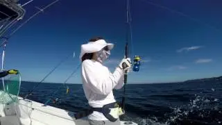 Cebaco Bay Jack Crevalle