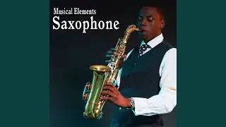 Distorted Honk Played on a Baritone Saxophone