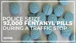 Police seize 92,000 fentanyl pills in one bust