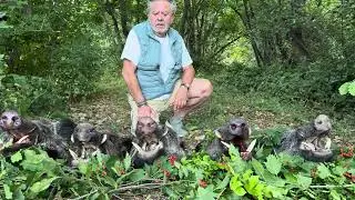 Ahpanos Hunt &ndash; Luxury Hunting in Spain | Wild Boar & Ibex Trophy Adventures in Europe