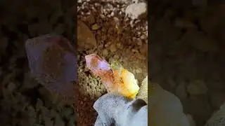 The community of pink and green crystal