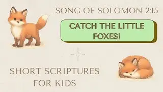 Song of Solomon 2:15 | Little Fox Catcher
