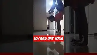 Scorpion handstand yoga | 365 Day yoga challenge