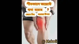 &ldquo;Joint Pain in Winter? Easy Home Remedies You Must Try!&rdquo;