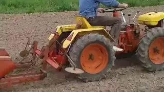 Tractoras Pasquali 18,5 CP la semanat de porumb