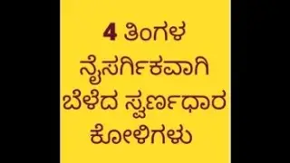 4 ತಿಂಗಳ ನೈಸರ್ಗಿಕವಾಗಿ ಬೆಳೆದ ಸ್ವರ್ಣದಾರ  ಕೋಳಿಗಳು