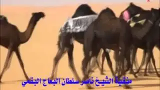 منقية الشيخ ناصر البعاج البقمي