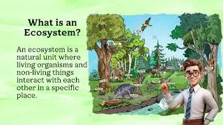 Earth and Life Science Lesson 20: