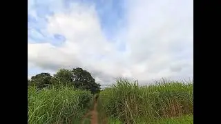 redmi 10 prime phone cmarea ultra wide test