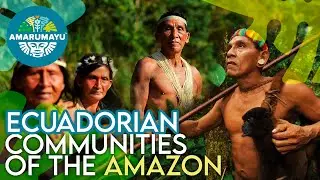 MEET THE GUARDIANS OF THE ECUADORIAN AMAZON 🌴 | AMARUMAYU Community