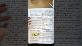 Day 147 of 365: Reading the Bible for the first time