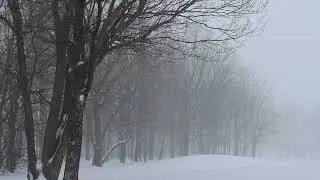 Beneath The Snow -revised