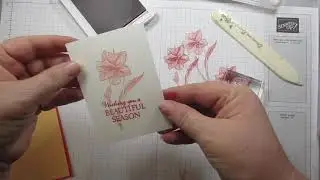 AMARYLLIS ABLOOM HOST PHOTOPOLYMER STAMP SET 1st in the series