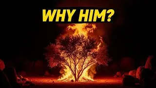 Moses Committed Murder&mdash;And God Still Chose Him