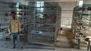 Largest bird farm in Berhampur || ବ୍ରହ୍ମପୁର ରେ ସବୁଠୁ ବଡ଼ ପକ୍ଷୀ ଫାର୍ମ, (Hindi / Odia)