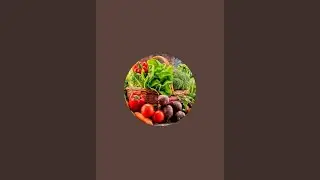 بدأت قناة 