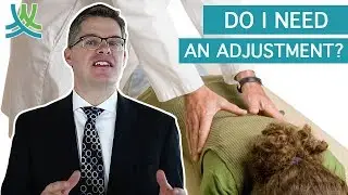 What Do Chiropractors Do? - Chiropractic Adjustment Benefits