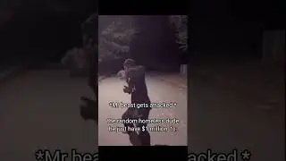 average Mr beast moment