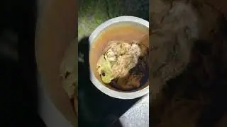Tree frog in a pipe