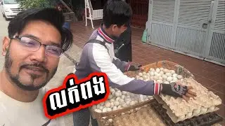 អ្នកលក់ប្រាប់ថាអត់លក់ទេ#cambodianfoodtour #cooking #lifeisbutadream #studio #cookingfood 