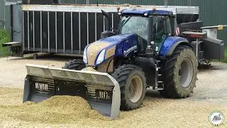 Trinciatura mais 2020 / New Holland FR 850 / New Holland T8 435 Blue Power / BLM LIT 4000 / Pavesi