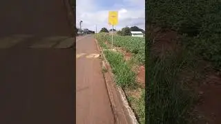 come&ccedil;ando meu dia minhas lutas n&atilde;o param