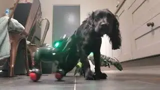 Luna vs robot dinos